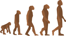Evolution